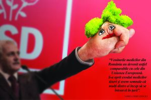 Grafică de MAKE