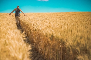 Agricover raportează venituri de 1,43 miliarde lei