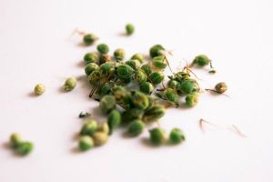 Care este statutul legal al cannabisului medicinal in Romania?