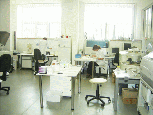 Cifră de afaceri în creştere de peste 50% la "MedLife"