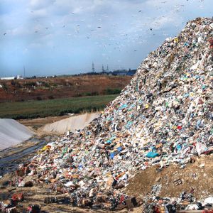 Dezastru ecologic la marginea Capitalei