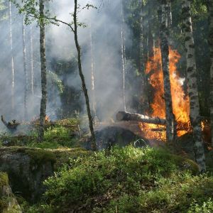 Avertisment ONU: schimbările climatice pot deveni ireversibile