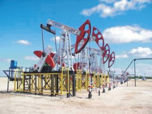 Resursele de energie primară au crescut cu 2,6%
