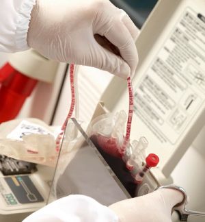 "Nimeni nu va suferi, în ceea ce priveşte serviciile medicale"