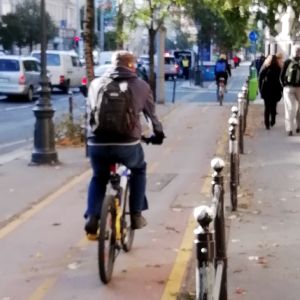 Coloanele oficiale, bicicliştii şi chinezii