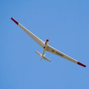 Zborul păsărilor, folosit pentru planoarele autonome