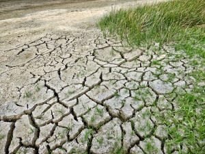 Încălzirea globală a înmulţit de patru ori dezastrele climatice