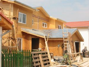 Impact şi-a răscumpărat aproape 50.000 de acţiuni