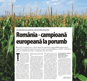 România - campioană europeană la porumb