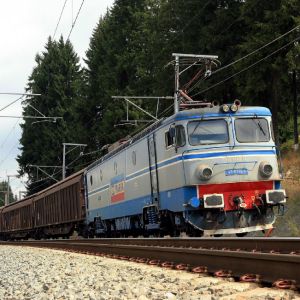 Lucian Şova va falimenta transportul feroviar de marfă
