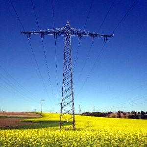 Preţul maxim al energiei electrice - 355,05 lei/MWh