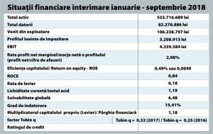 Radiografia financiară a companiei
