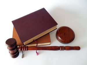 Ordonanţa de urgenţă de modificare a legilor Justiţiei, retrimisă astăzi