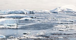 Probleme majore pentru oceanul planetar
