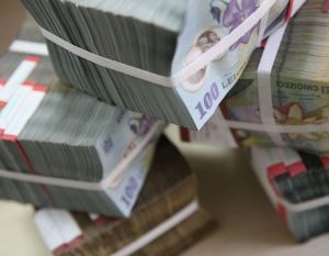 Firmele care angajează şomeri, subvenţii de 2.250 lei/lună