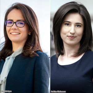Principalii paşi pentru înfiinţarea unui ONG