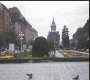 Credit de cinci milioane de euro pentru monumentele istorice din Timişoara