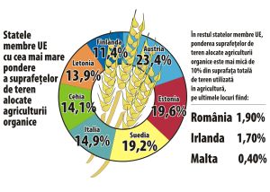 Malta, Irlanda şi România alocă mai puţin de 2% din suprafaţa de teren pentru agricultura organică 