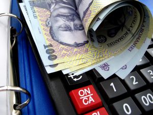 "Vom pune la dispoziţia Parlamentului toate informaţiile pe tema ROBOR"