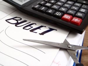 Bugetul pe 2019, avizat pozitiv în comisii