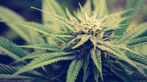 Sursă foto: Twitter