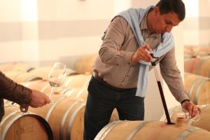 Vinarte se aşteaptă la o creştere de 15% pentru 2019