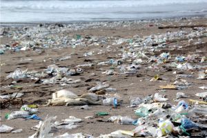 Plasticul, blestemul Oceanului Planetar