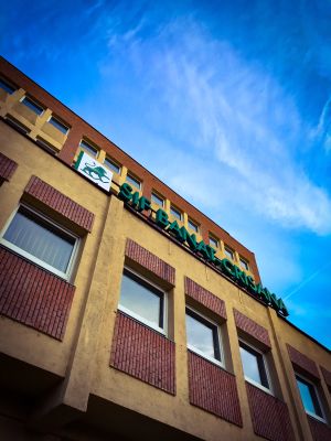 Salt de 11% pentru profitul SIF Banat - Crişana, anul trecut 