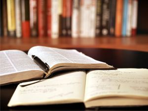 Programe educaţionale dezbătute, la Bucureşti, de reprezentanţii a 35 de ţări 