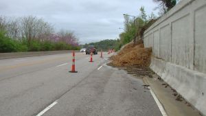 Sursă foto: Twitter