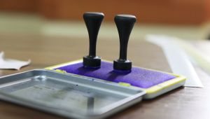 AEP: Pe 2 mai vor fi stabiliţi operatorii de calculator ai secţiilor de votare din ţară