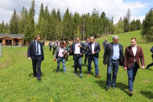 Un parc de aventură va fi construit în oraşul Borsec