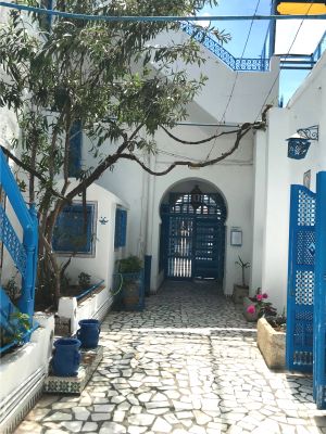 Tunisia, poartă către lumea arabă şi Africa