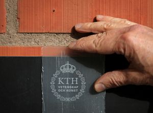 Lemnul transparent va economisi energia în clădirile verzi