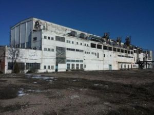 Dedeman, ultimii paşi către preluarea platformei Letea SA Bacău
