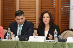 Roxana Mînzatu 