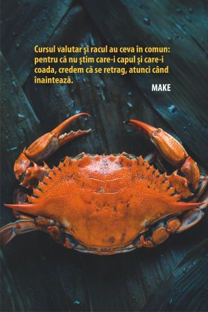 "Curs de schimb de 5 lei/euro, doar după prezidenţiale"