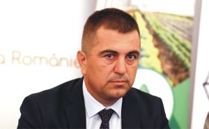 Ionel Arion