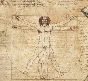 "Omul Vitruvian" al lui Leonardo da Vinci va fi expus la Muzeul Luvru