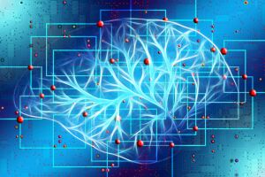 Inteligenţa Artificială "priveşte" direct în inima pacientului