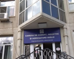  Şase companii din judeţ, clasate pe locul I în topul naţional al firmelor