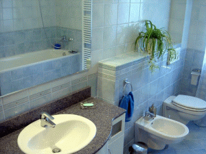 Grupul "Roca" este cel mai mare producător de obiecte sanitare.