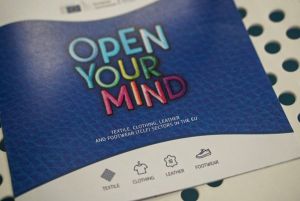 Noi oportunităţi de integrare profesională a tinerilor în industria textile∕îmbrăcăminte∕pielărie∕încălţăminte