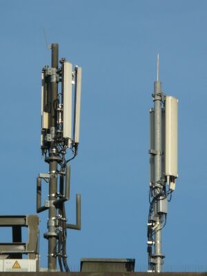 Furnizorii serviciilor de comunicaţii - obligaţi să includă în contracte detalii despre vitezele de acces