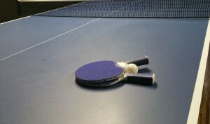 Tricolorele vizează la o medalie la CM de tenis de masă