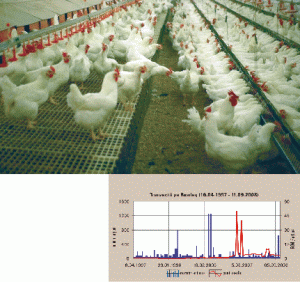 EVOLUŢIA COTAŢIEIUltima cotaţie3 leiPrima şedinţă a anului3 leiMinimul anului1,5 leiMaximul anului9,8 leiVariaţie faţă de începutul anului0%Structura acţionariatuluI (30.06.2008): "SIF Muntenia" SA Bucureşti (98,29%), alti acţionari (1,71%).
