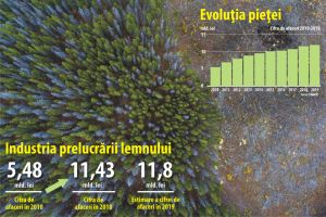 Industria lemnului, în secţiune
