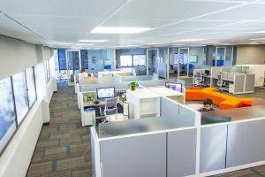Angajaţii din domeniul financiar au fost cei mai activi în căutarea unui nou job în ultimele trei luni