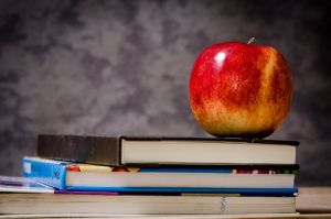 Ministerul Educaţiei a lansat licitaţia pentru manualele de clasa a VIII-a pentru următorul an şcolar 