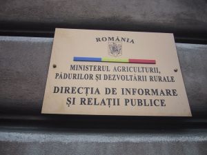 "Producţia de porumb scade cu 9% în acest an"
